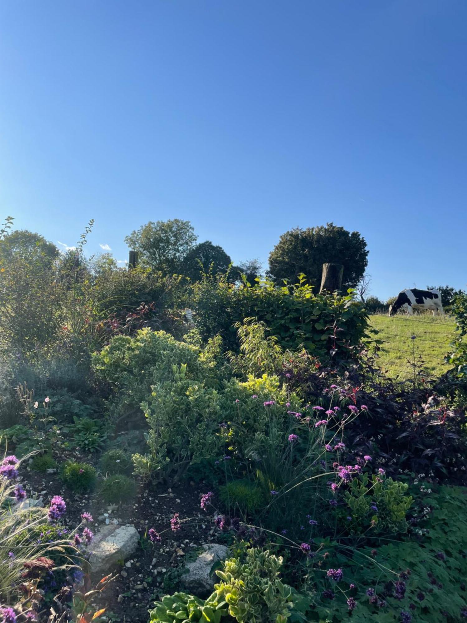Les Charmes De Villers Huchenneville Buitenkant foto